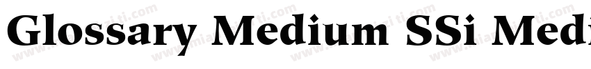 Glossary Medium SSi Medium Italic字体转换